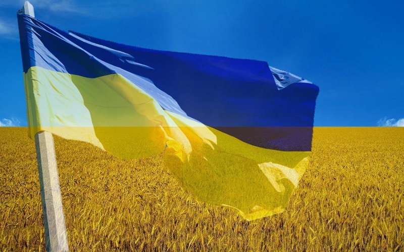 В августе значительно вырос экспорт российского алюминиевого плоского проката на Украину